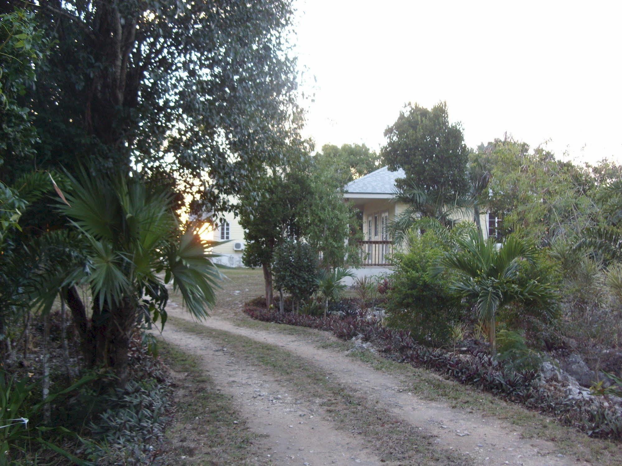 Island Seaside Suites Eleuthera Exterior photo