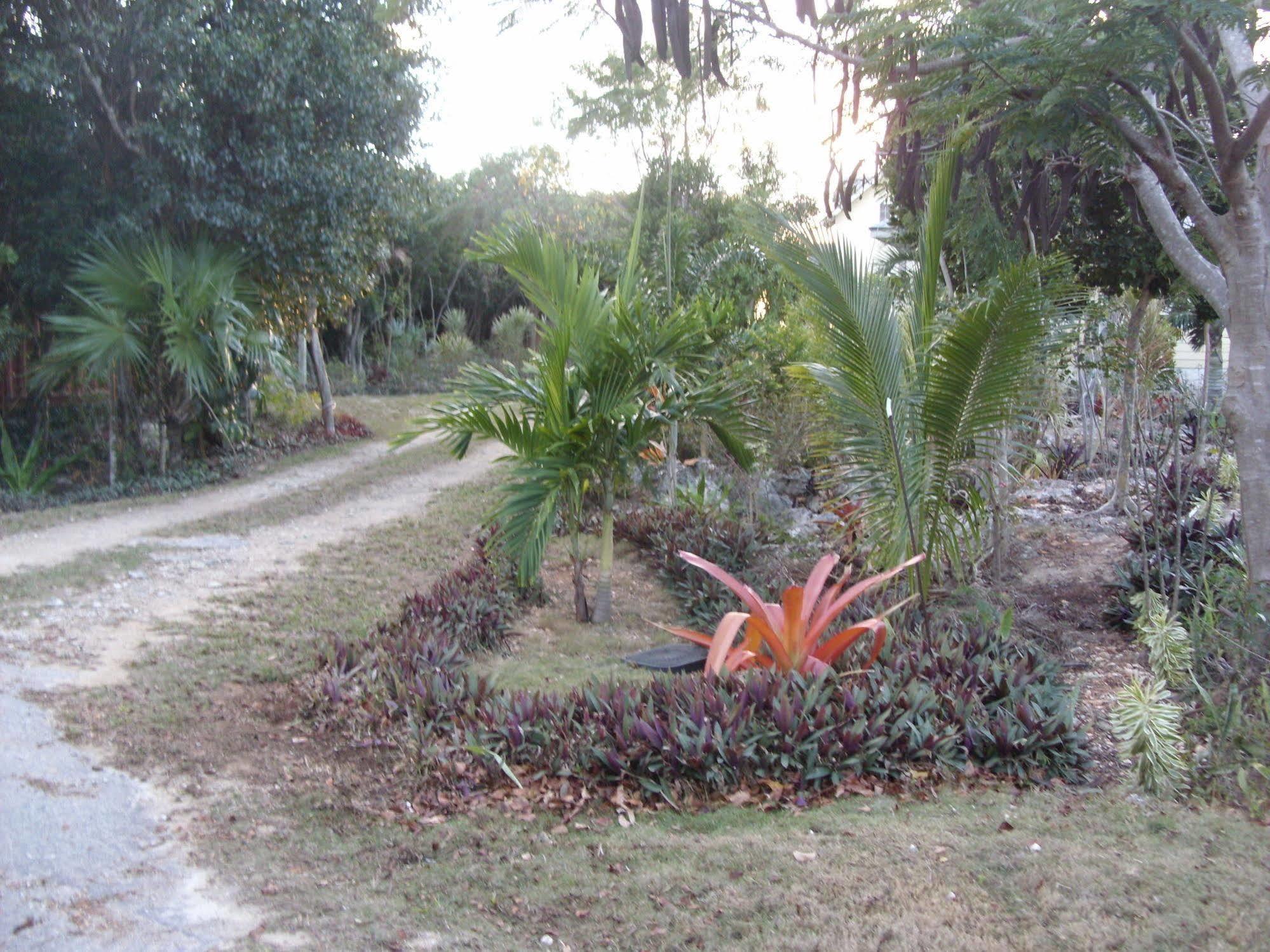 Island Seaside Suites Eleuthera Exterior photo