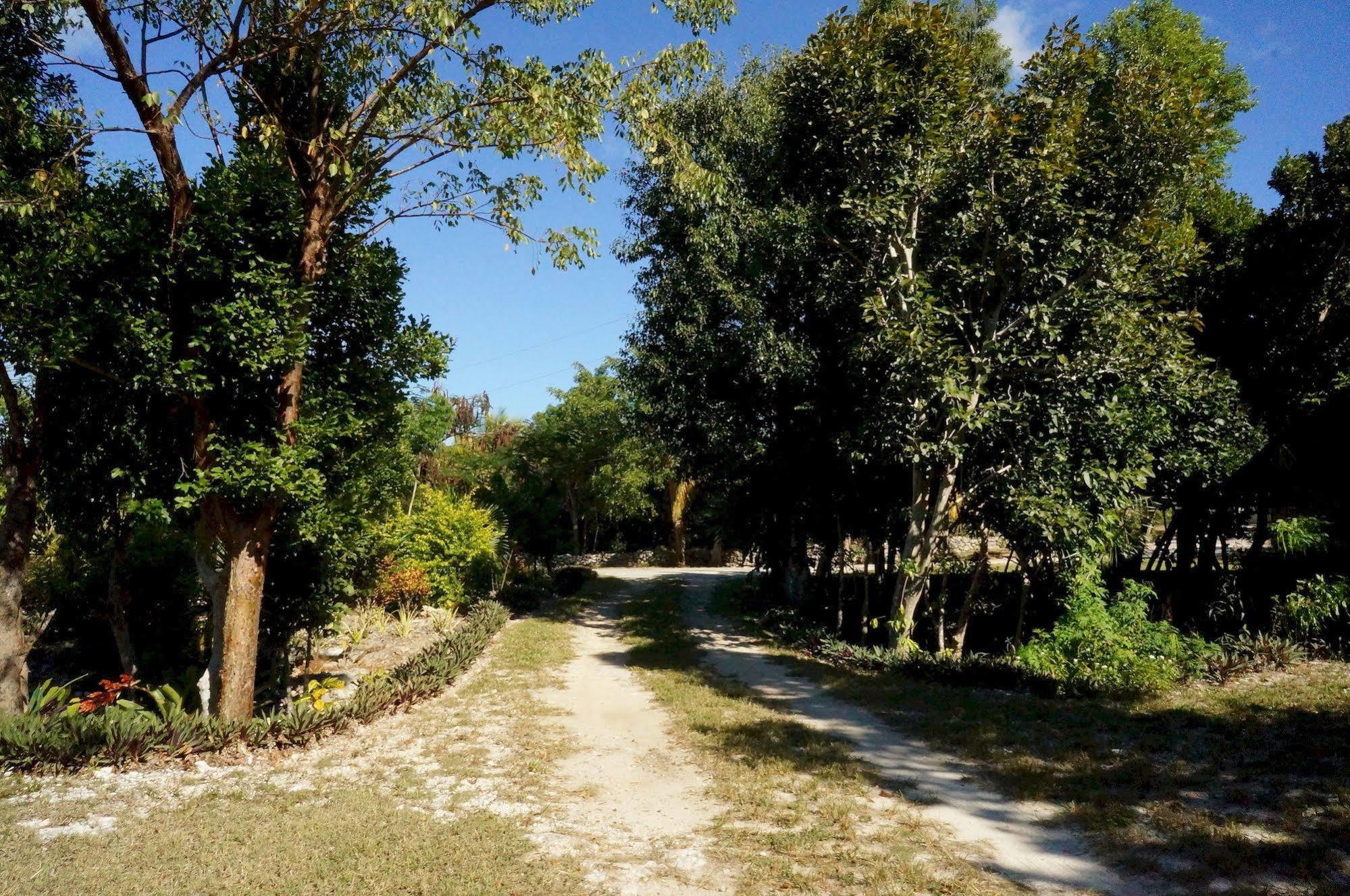 Island Seaside Suites Eleuthera Exterior photo